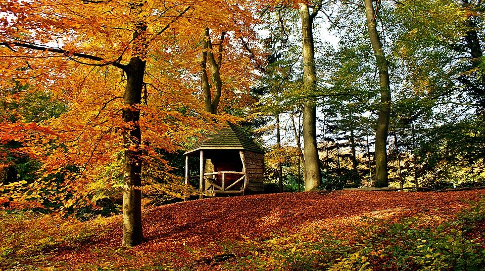 autumn 3818048 960 720