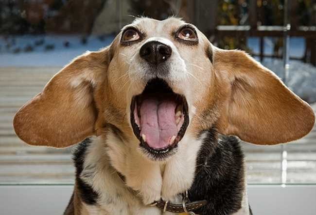 12 11