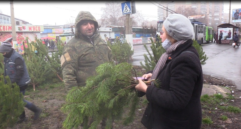 cenі na elki3