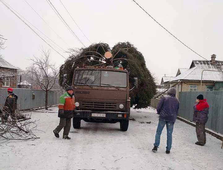 jalynka lazurnyj kramatorsk