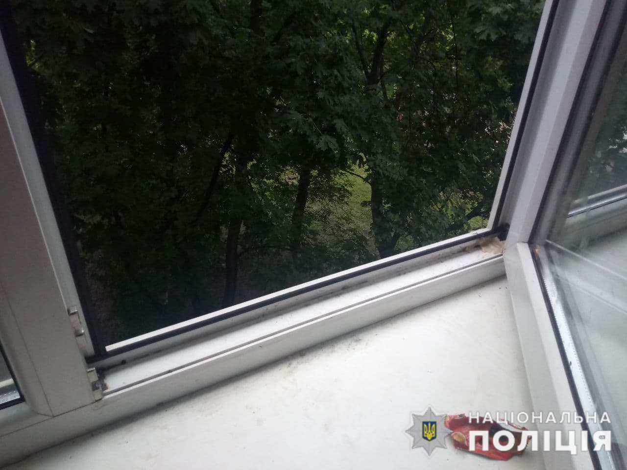 photo 2021 06 12 12 12 27
