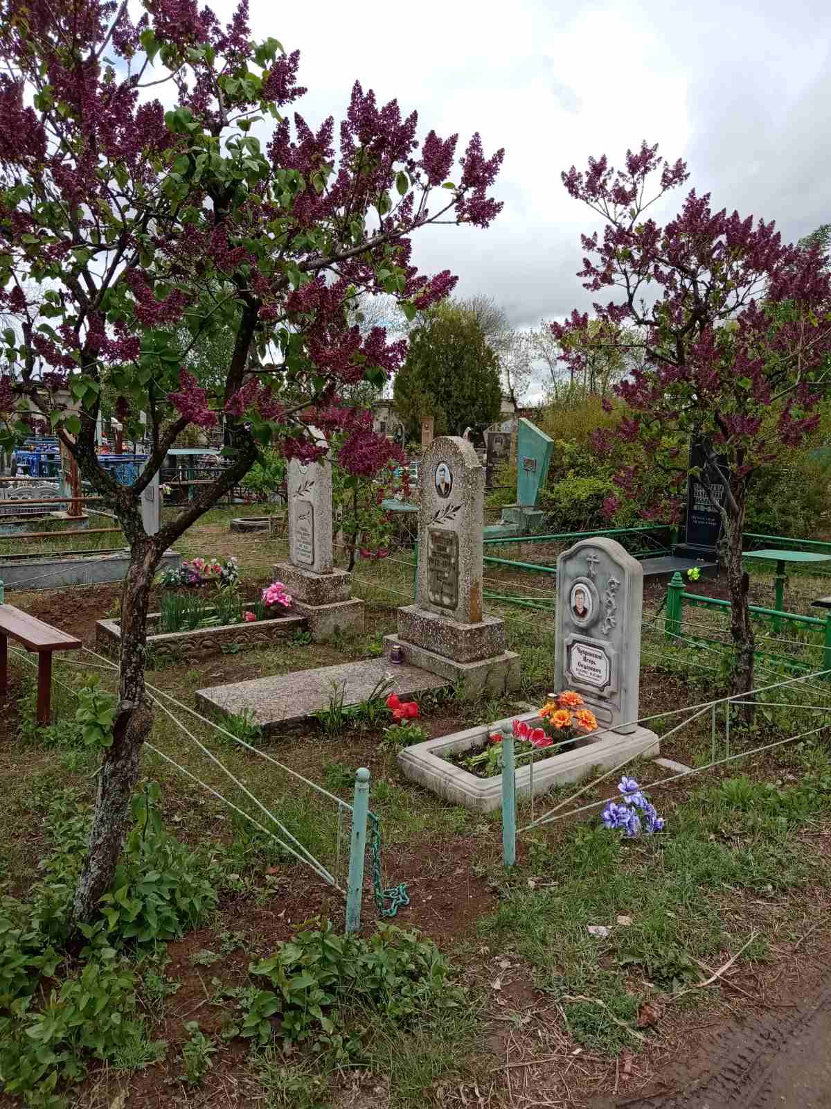 изображение viber 2021 05 11 12 39 41