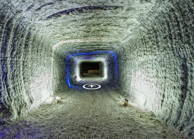 271392478 335851711534678 4702042975130717587 n