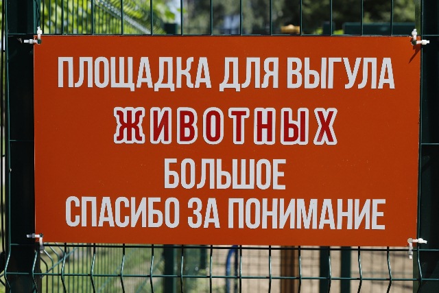 ploshadka dlya vygula sobak 1