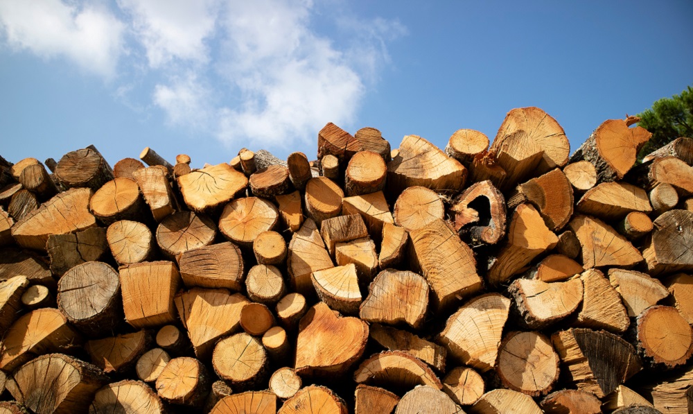 firewood