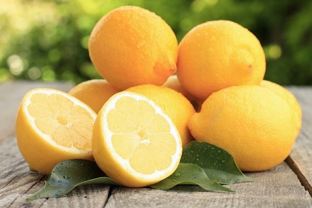 limon polza vred poleznye lechebnye svojstva primenenie protivopokazaniya kozhura citrus citrusovye recepty lecheniya limonom narodnaya medicina sredstva cennost kalorijnost
