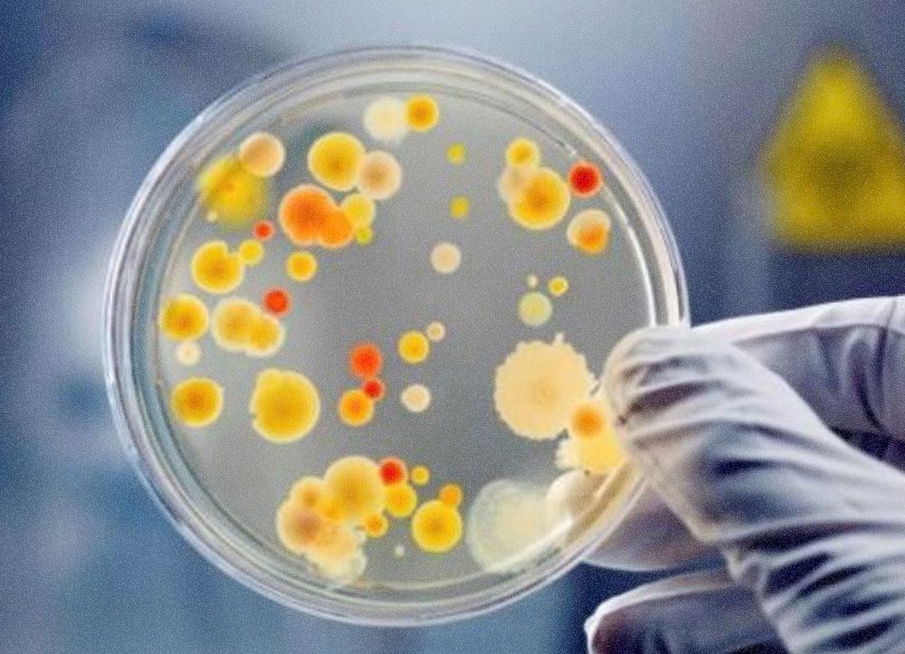 intestinal infections