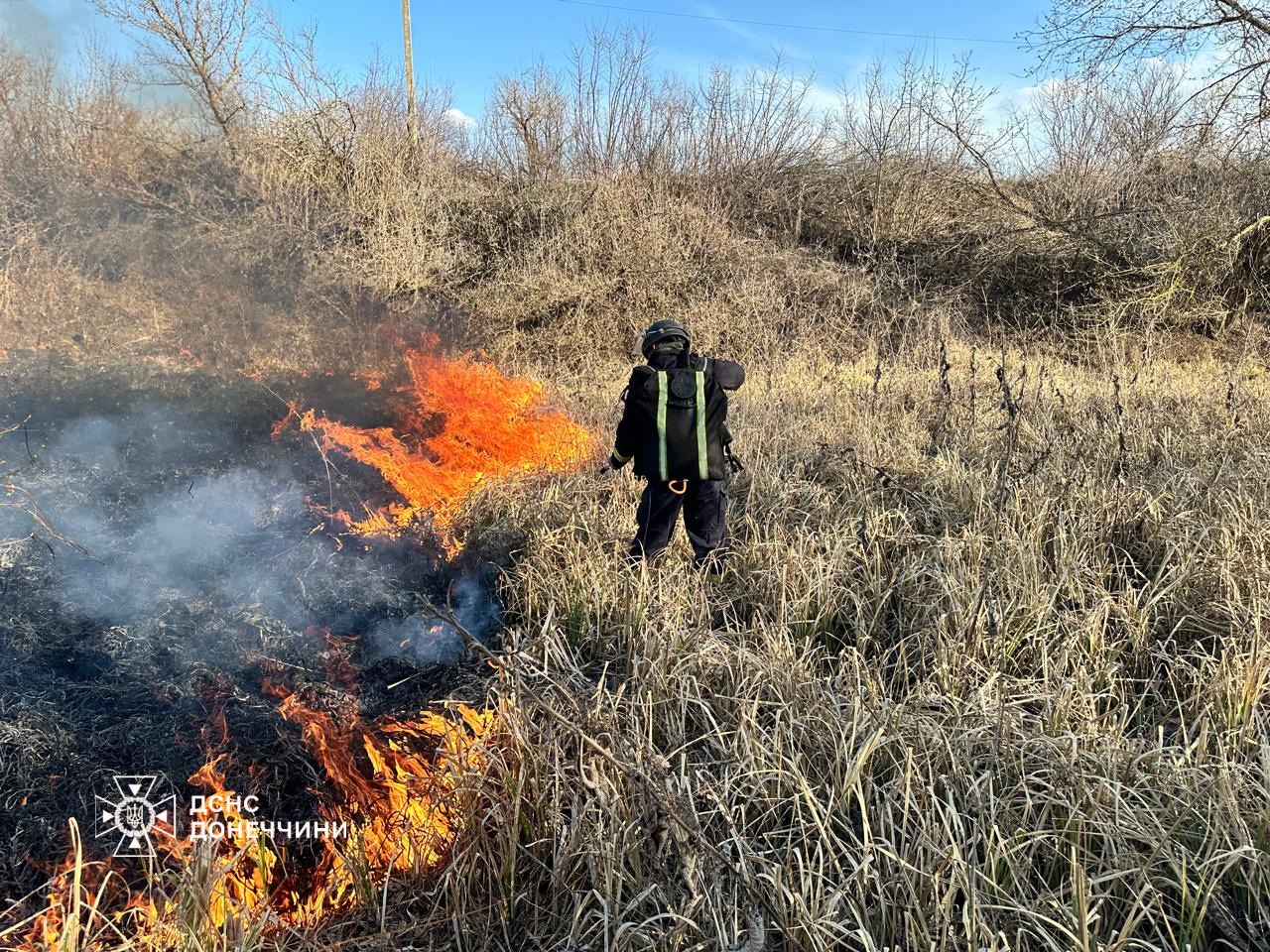 494444210 1103632055138865 2501618438564193803 n