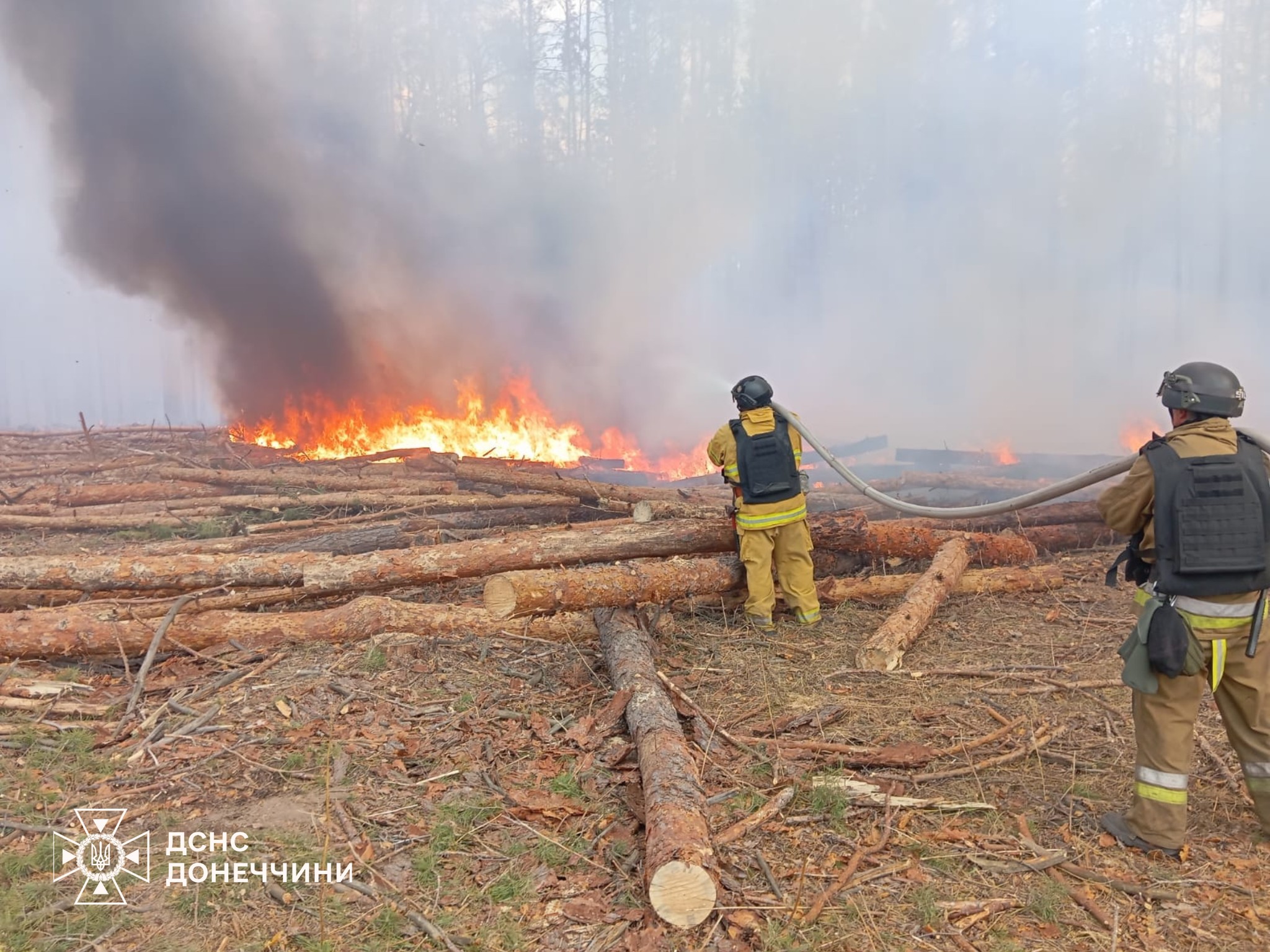 556181650 1224016239767112 8368156184414614438 n