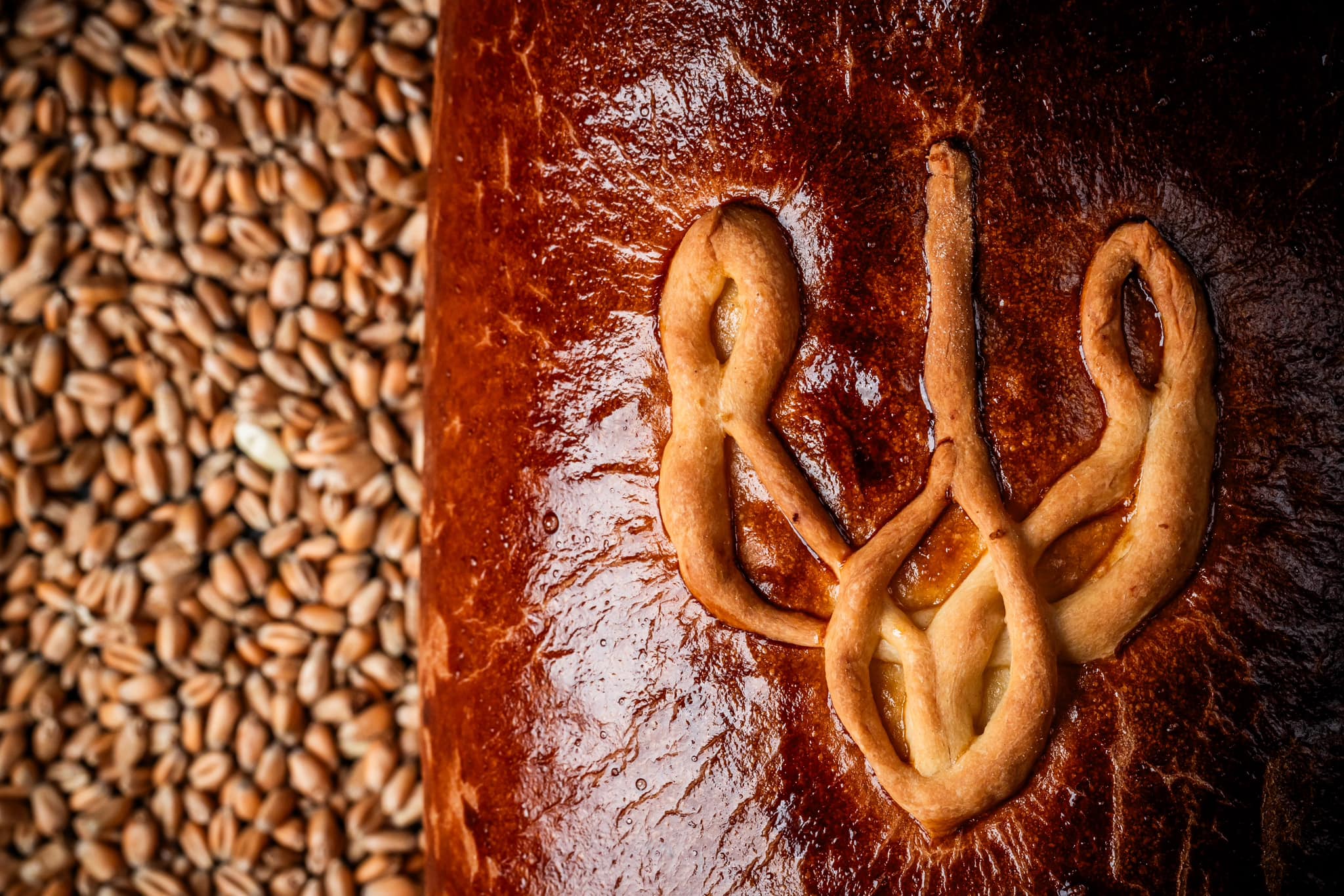 530589435 1186643123504312 5660615457873371849 n