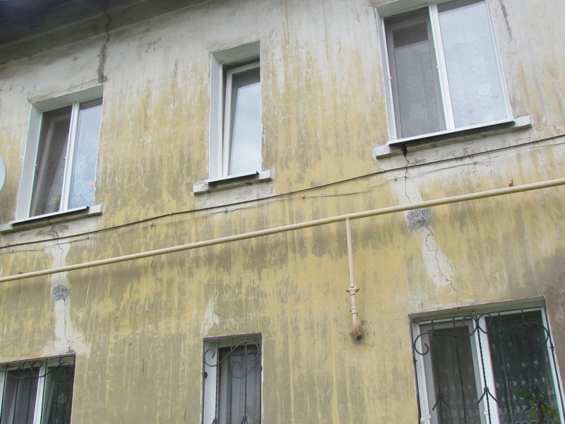 IMG 0006