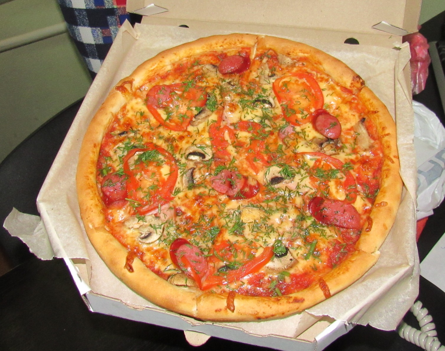IMG 3537.JPG555