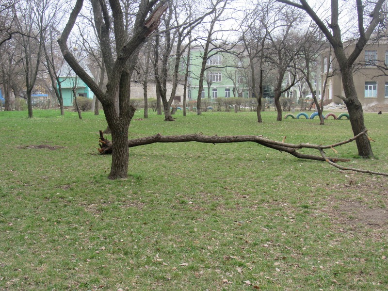IMG 3755.JPG5555