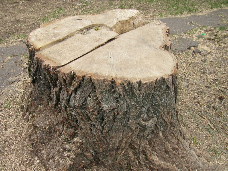 IMG 3763.JPG7888
