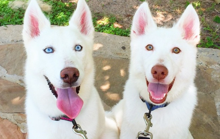 2019 dsewdf02 14 102617