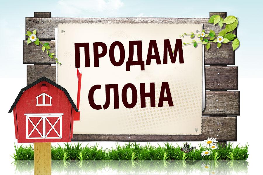 aa8a33259535cf0f3a2f284375285bd0