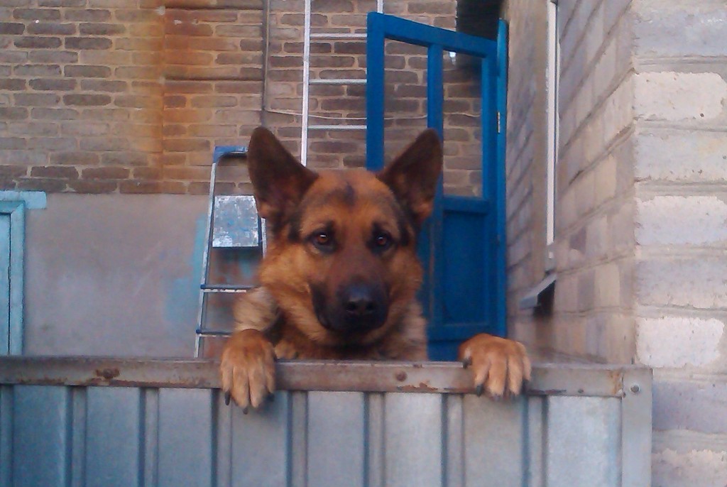 IMAG0153 1