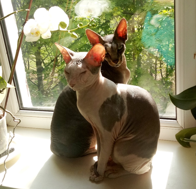 IMG 20190426 093401