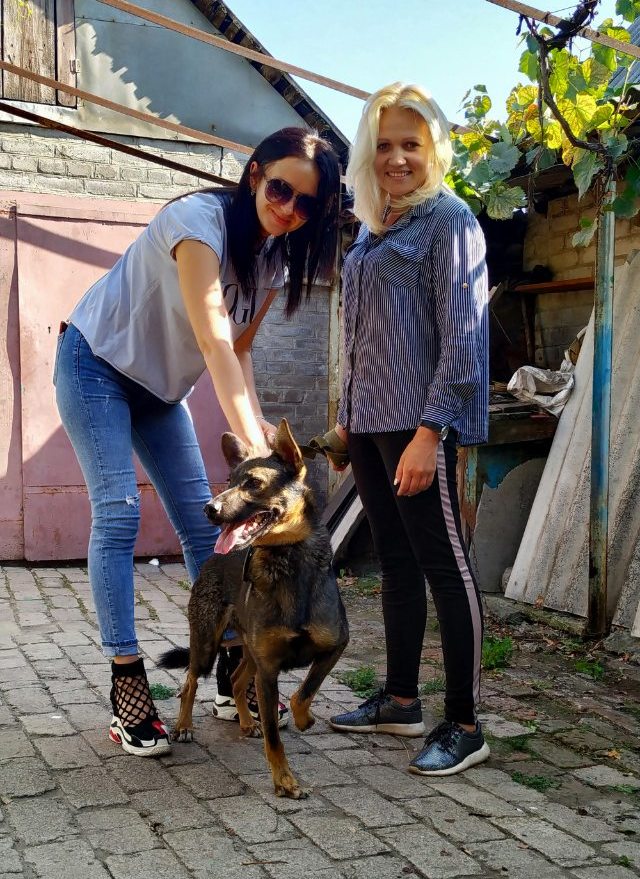 изображение viber 2019 09 13 15 05 12