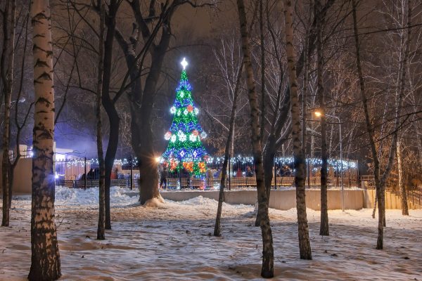 sad bernackogo kramatorsk 06